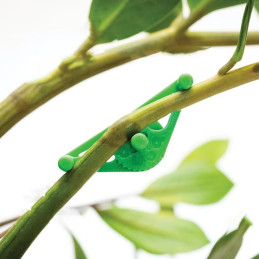 30 klipsów LST do roślin,...